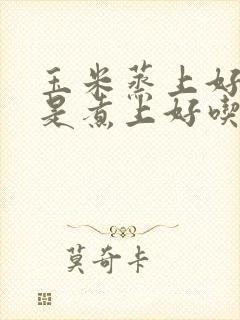 玉米蒸上好吃还是煮上好吃