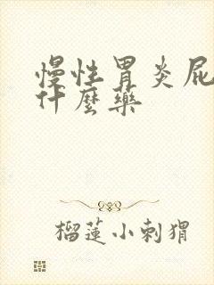 慢性胃炎屁多吃什么药