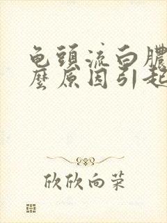 龟头流白脓是什么原因引起的