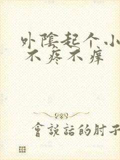 外阴起个小疙瘩 不疼不痒