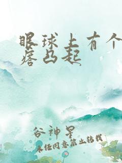 眼球上有个白疙瘩凸起