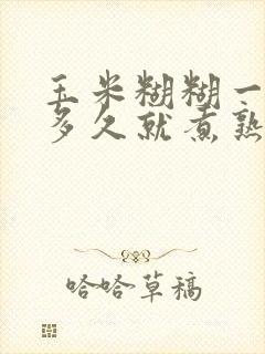 玉米糊糊一般煮多久就煮熟了