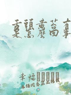 舌头黄苔有裂痕是怎么回事