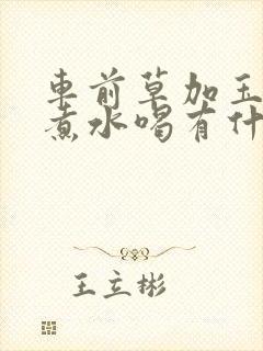 车前草加玉米须煮水喝有什么作用