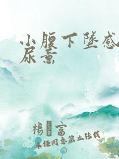 小腹下坠感总有尿意