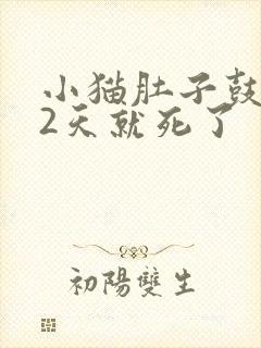 小猫肚子鼓鼓的2天就死了