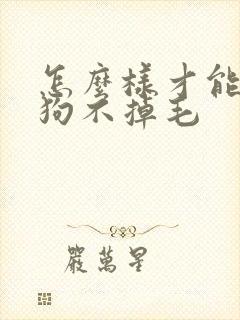 怎么样才能让狗狗不掉毛