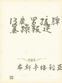 13岁男孩脾气暴躁叛逆