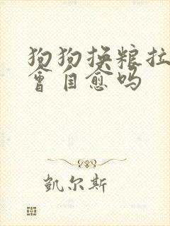 狗狗换粮拉软便会自愈吗