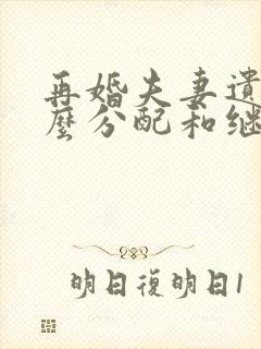 再婚夫妻遗产怎么分配和继承