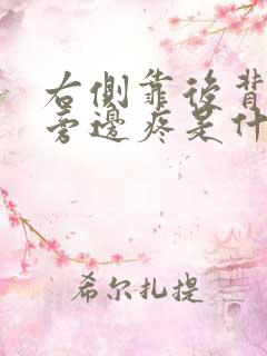 右侧靠后背肋骨旁边疼是什么原因