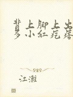 背上脚上出了很多小红疙瘩