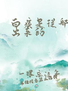 白痰是从哪里咳出来的