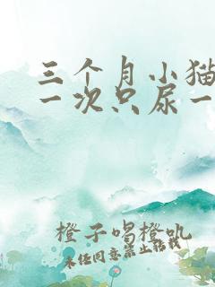 三个月小猫尿频一次只尿一点