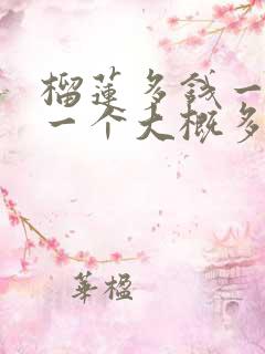 榴莲多钱一斤 一个大概多斤