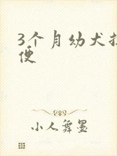 3个月幼犬拉软便