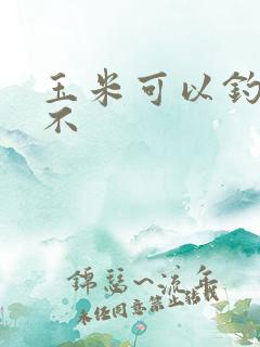 玉米可以钓青鱼不