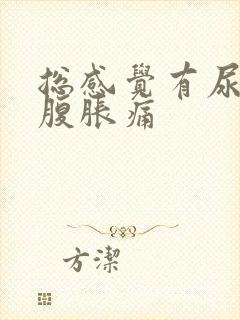 总感觉有尿意小腹胀痛