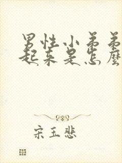 男性小弟弟硬不起来是怎么回事