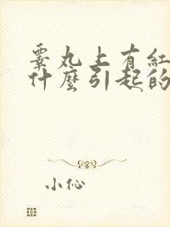 睾丸上有红点是什么引起的