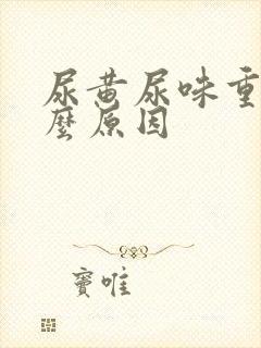 尿黄尿味重是什么原因