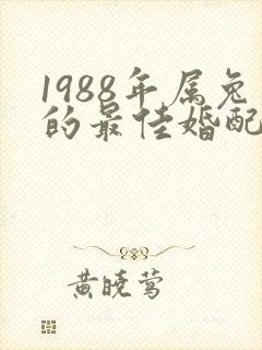 1988年属兔的最佳婚配属相