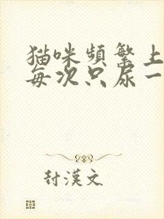 猫咪频繁上厕所每次只尿一点