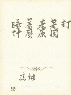 睡着老是打呼噜什么原因