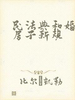 民法典和婚姻法房子新规