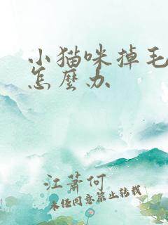 小猫咪掉毛严重怎么办