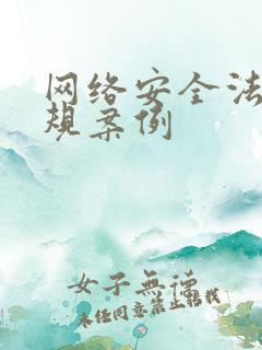 网络安全法律法规案例