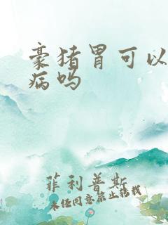 豪猪胃可以治胃病吗