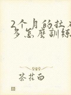 2个月的拉布拉多怎么训练大小便