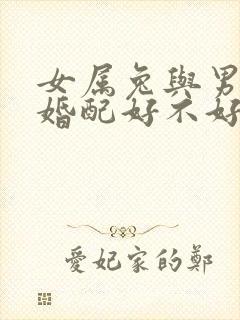 女属兔与男属马婚配好不好