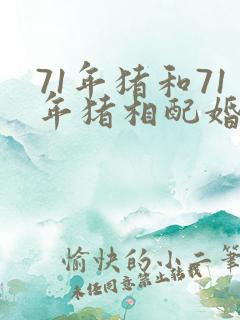 71年猪和71年猪相配婚姻如何