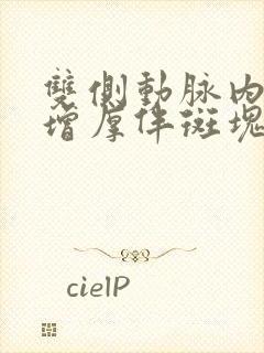 双侧动脉内中膜增厚伴斑块