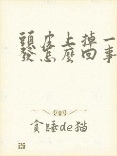 头皮上掉一块头发怎么回事