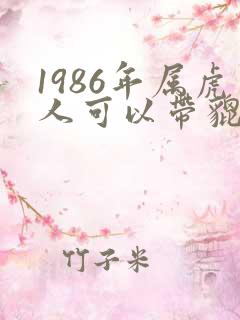 1986年属虎人可以带貔貅嘛