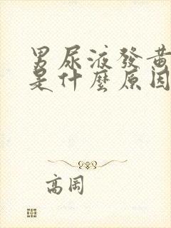 男尿液发黄有泡是什么原因