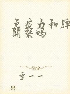 免疫力和脾胃有关系吗