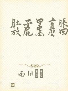 肚子里有胀气老放屁怎么回事