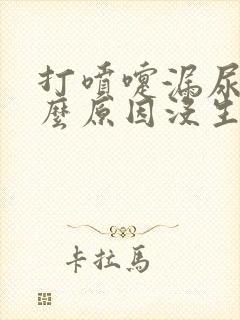 打喷嚏漏尿是什么原因没生孩子