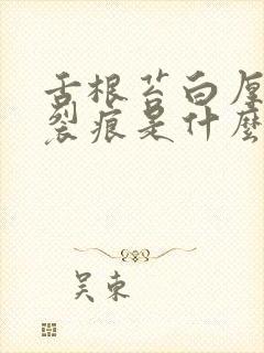 舌根苔白厚腻有裂痕是什么原因