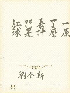 肛门长了一个肉球是什么原因