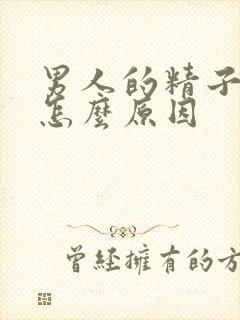 男人的精子少是怎么原因