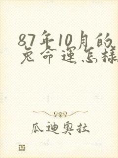 87年10月的兔命运怎样