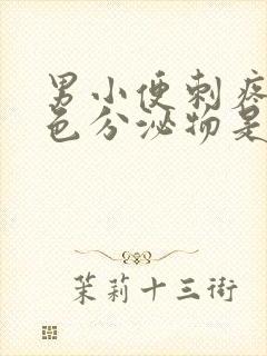 男小便刺疼有白色分泌物是什么