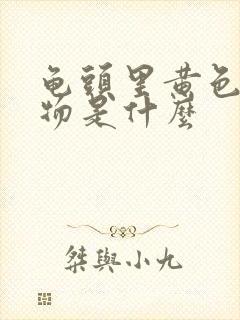 龟头里黄色分泌物是什么