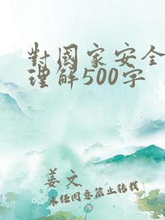 对国家安全观的理解500字