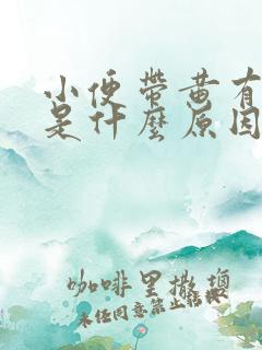 小便带黄有异味是什么原因